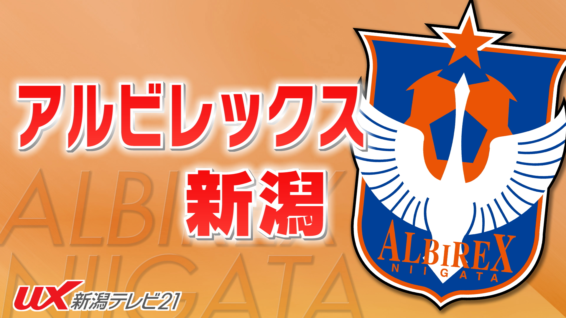 【サッカーJ1｜アルビ】先制するも2-4で敗れる 13試合勝利なし 残留遠のく痛い黒星【新潟】 2025年09月28日(日)