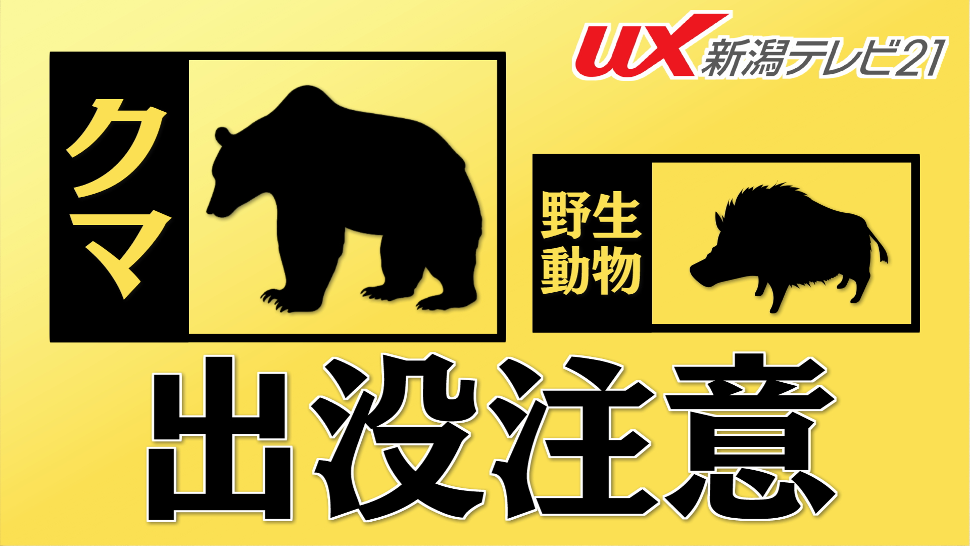「子グマ1頭が歩いていた」目撃のドライバーが通報、警察と市が周辺を警戒【新潟･南魚沼市】 2026年03月26日(木)