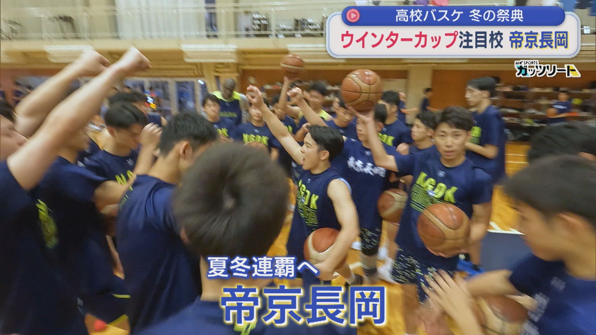 【高校バスケ男子｜ウインターカップ】夏冬連覇を目指す「帝京長岡」（注目校①）【新潟】