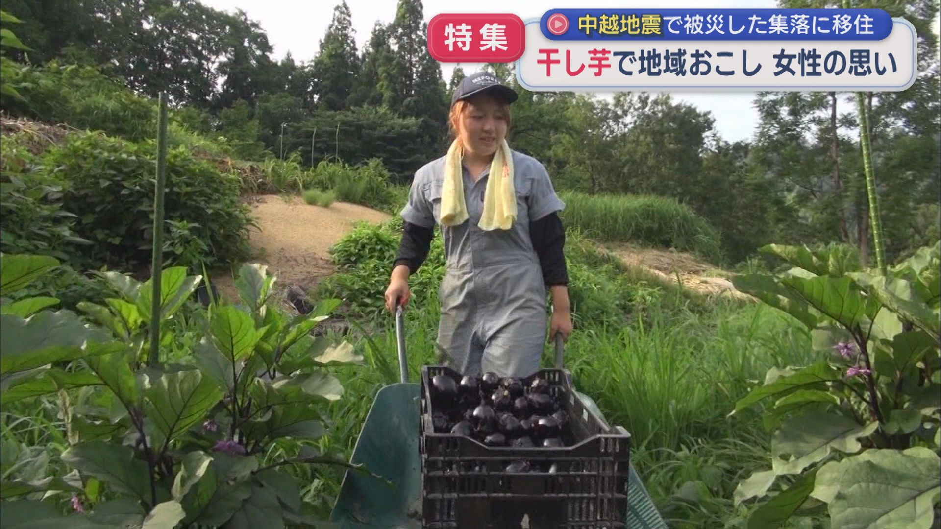 【特集】「干し芋」で地域おこしを！中越地震で被災した集落で移住した女性が奮闘【新潟･十日町市】