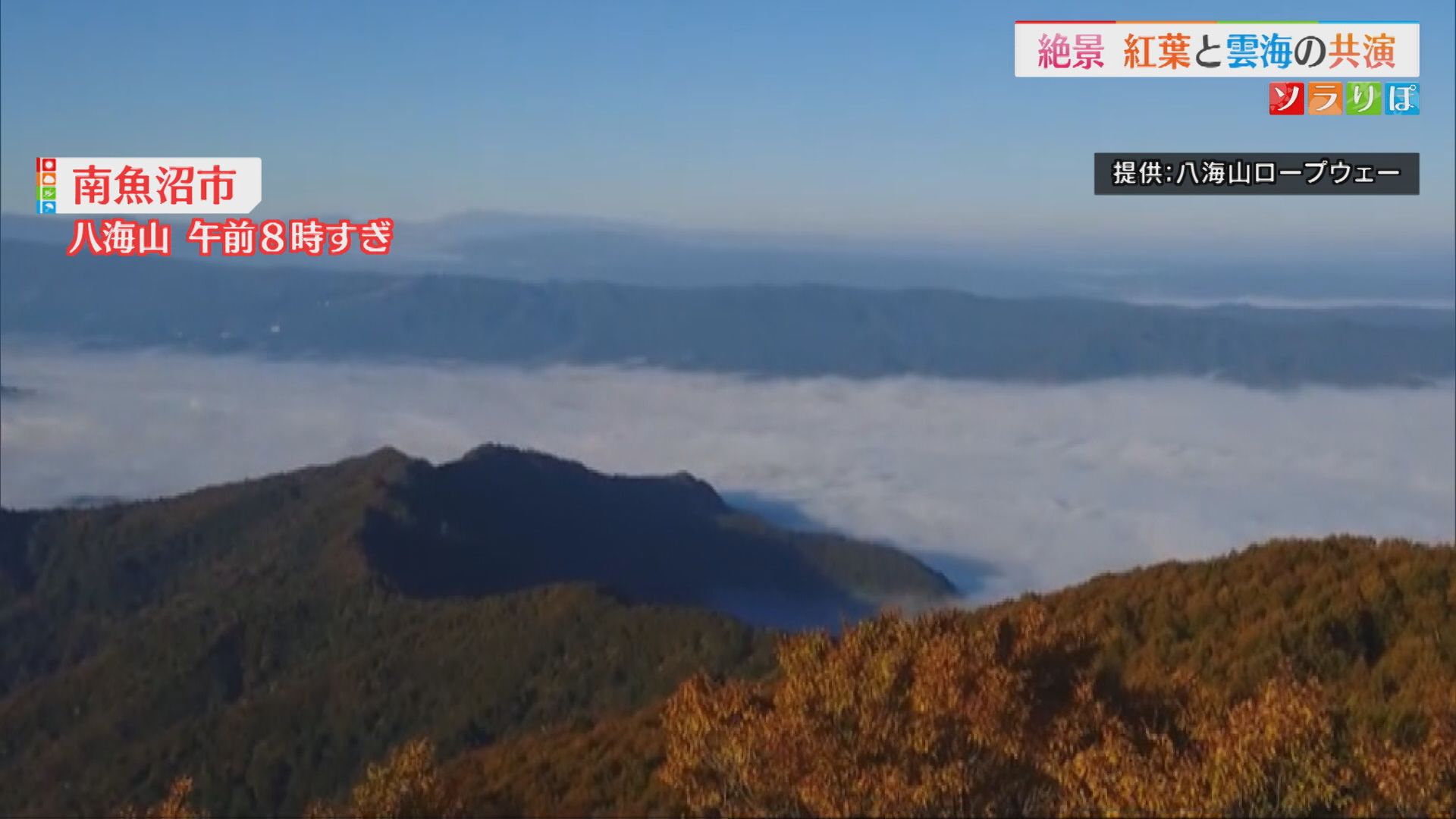 【紅葉情報】絶景！八海山では見事な「雲海」と「紅葉」のコラボレーション【新潟･南魚沼市】