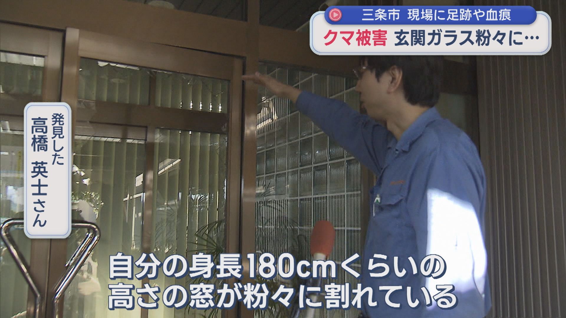 【クマ被害】玄関ガラスは粉々に･･･現場に足跡や血痕も、周辺では目撃相次いでいた【新潟･三条市】