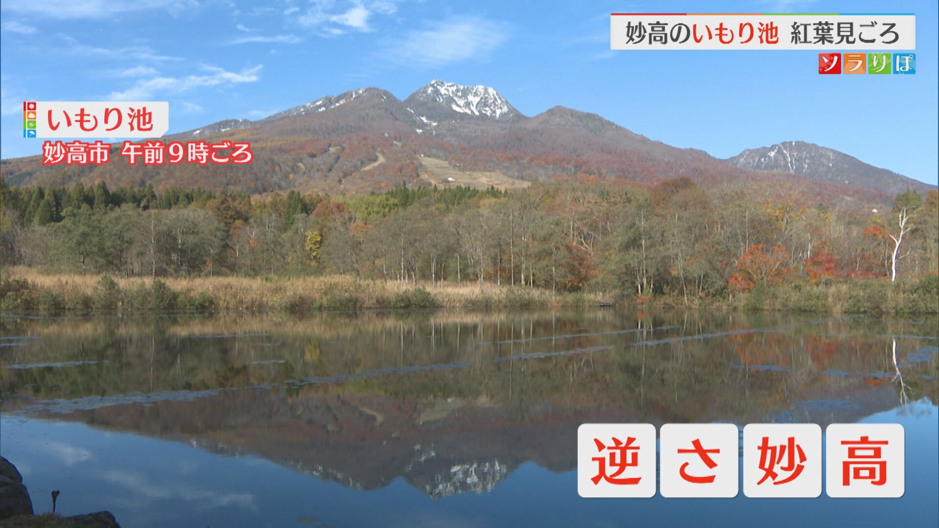 【紅葉スポット情報】水面に映る〝逆さ妙高〟周辺の木々も紅葉見ごろに【新潟･妙高市】