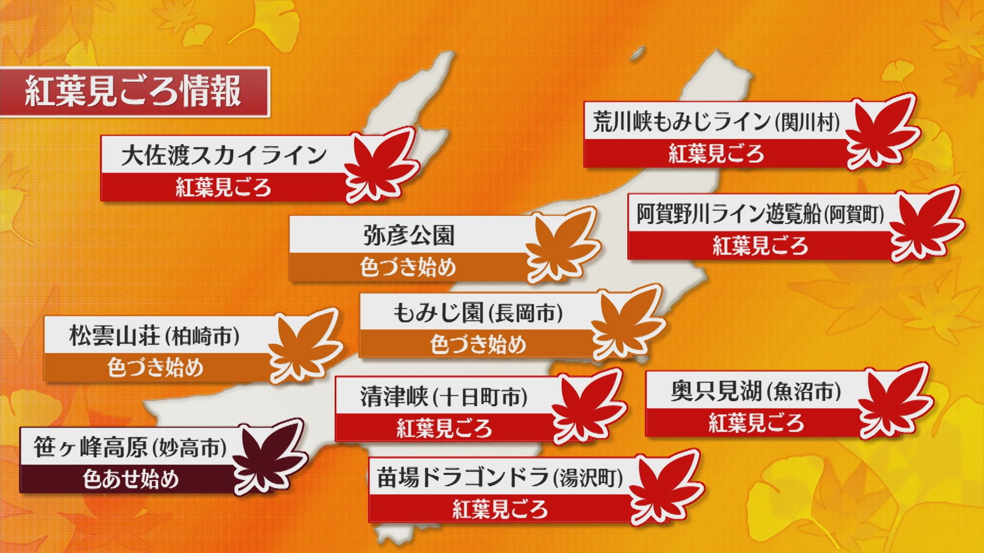 7日は夜のほうが気温が下がりそう、紅葉見ごろ情報も【これからの天気(6日18時40分現在)｜新潟】