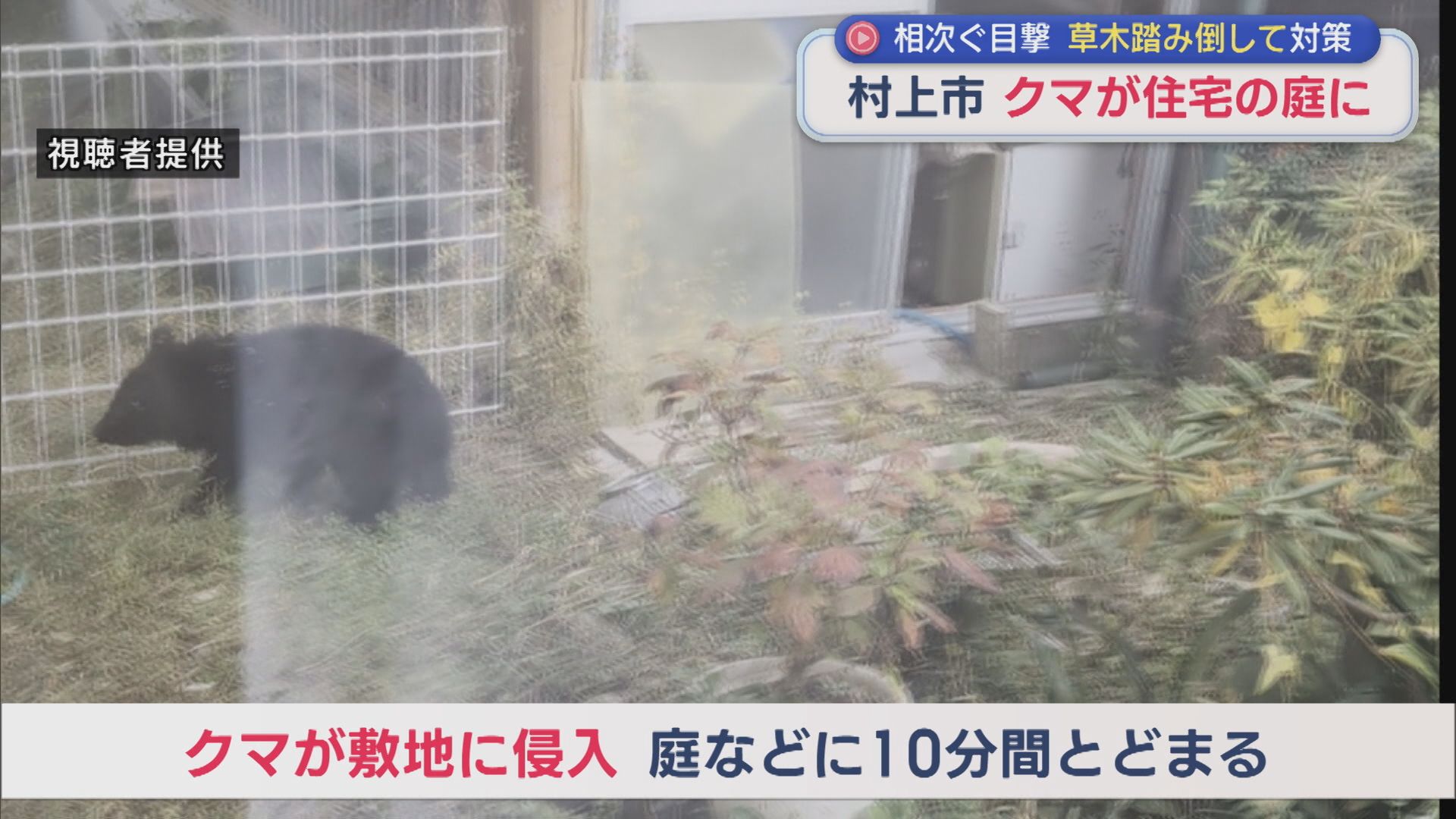 村上市でクマが住宅の庭･車庫に約10分とどまる 各地で対策進む【新潟】