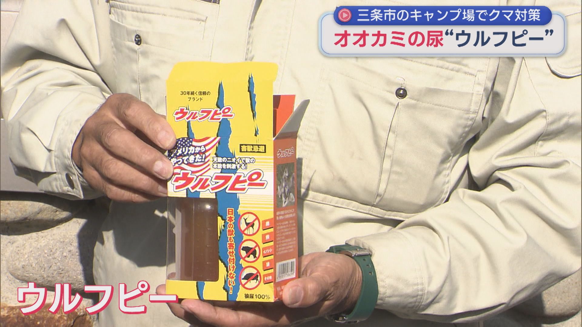 【クマ対策】天敵の尿を使った獣除け「ウルフピー」三条市のキャンプ場に設置【新潟】
