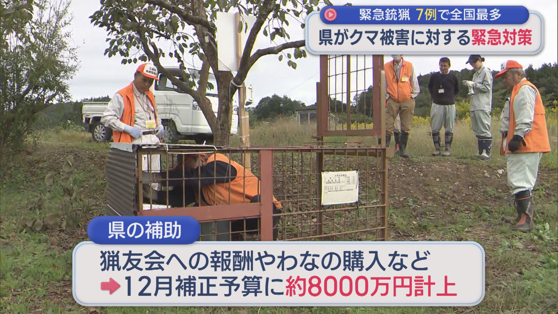 クマ出没件数が過去最多の3000件超･･･県がクマ被害に対する緊急対策、捕獲するための支援策【新潟】