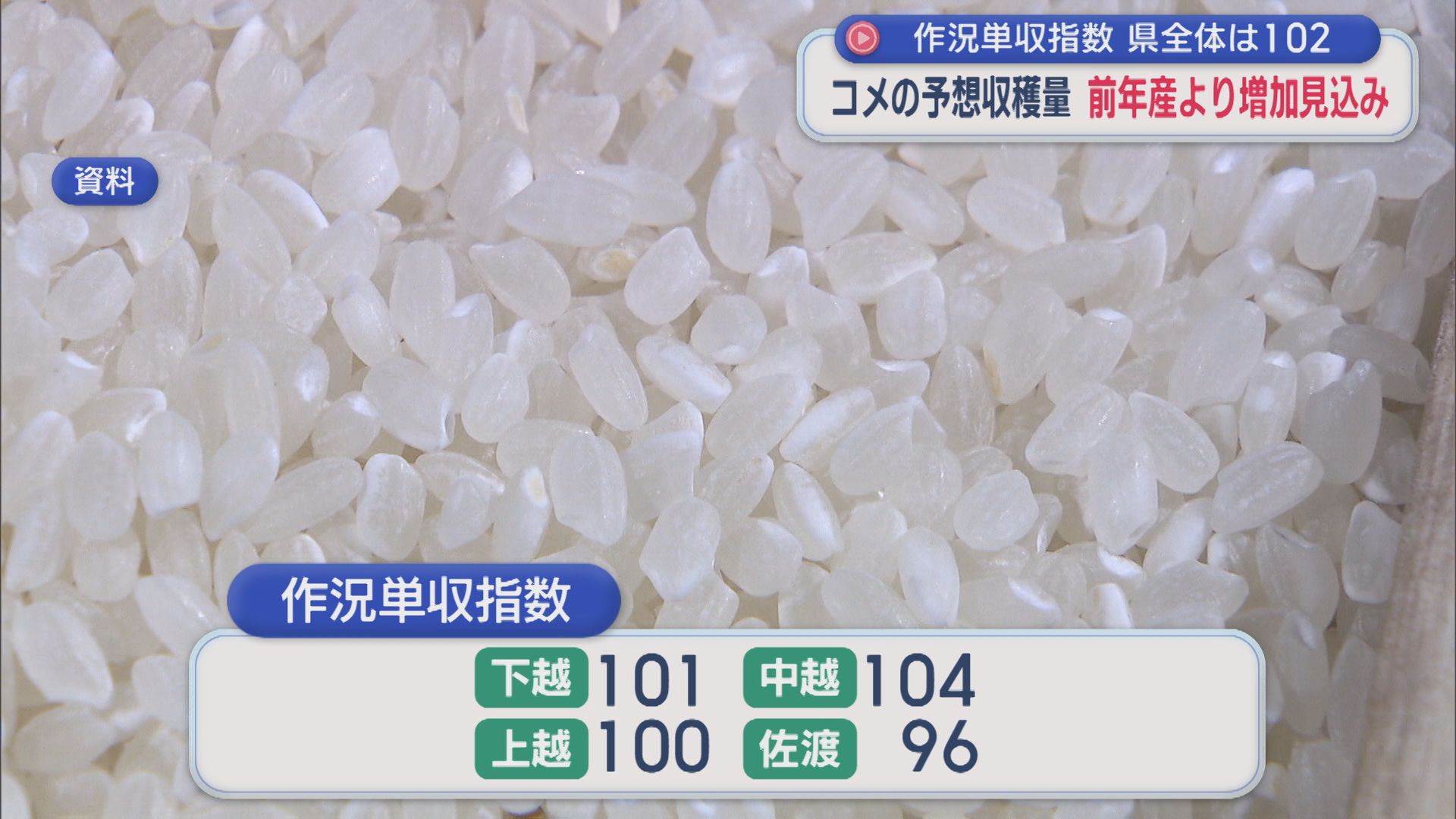 「コメの予想収穫量」前年産より増加見込み、県全体の『作況単収指数』は全国と同じ102【新潟】