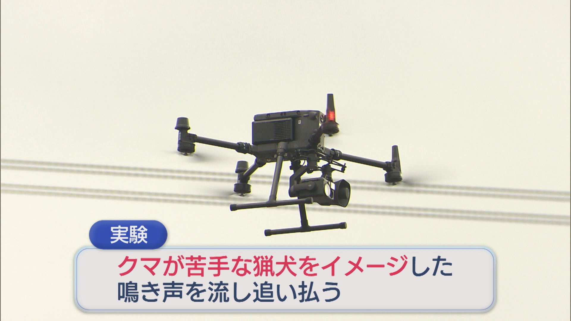 ドローンから「猟犬の鳴き声」空からクマを追い払う実験、来年度の実用化を目指す【新潟】