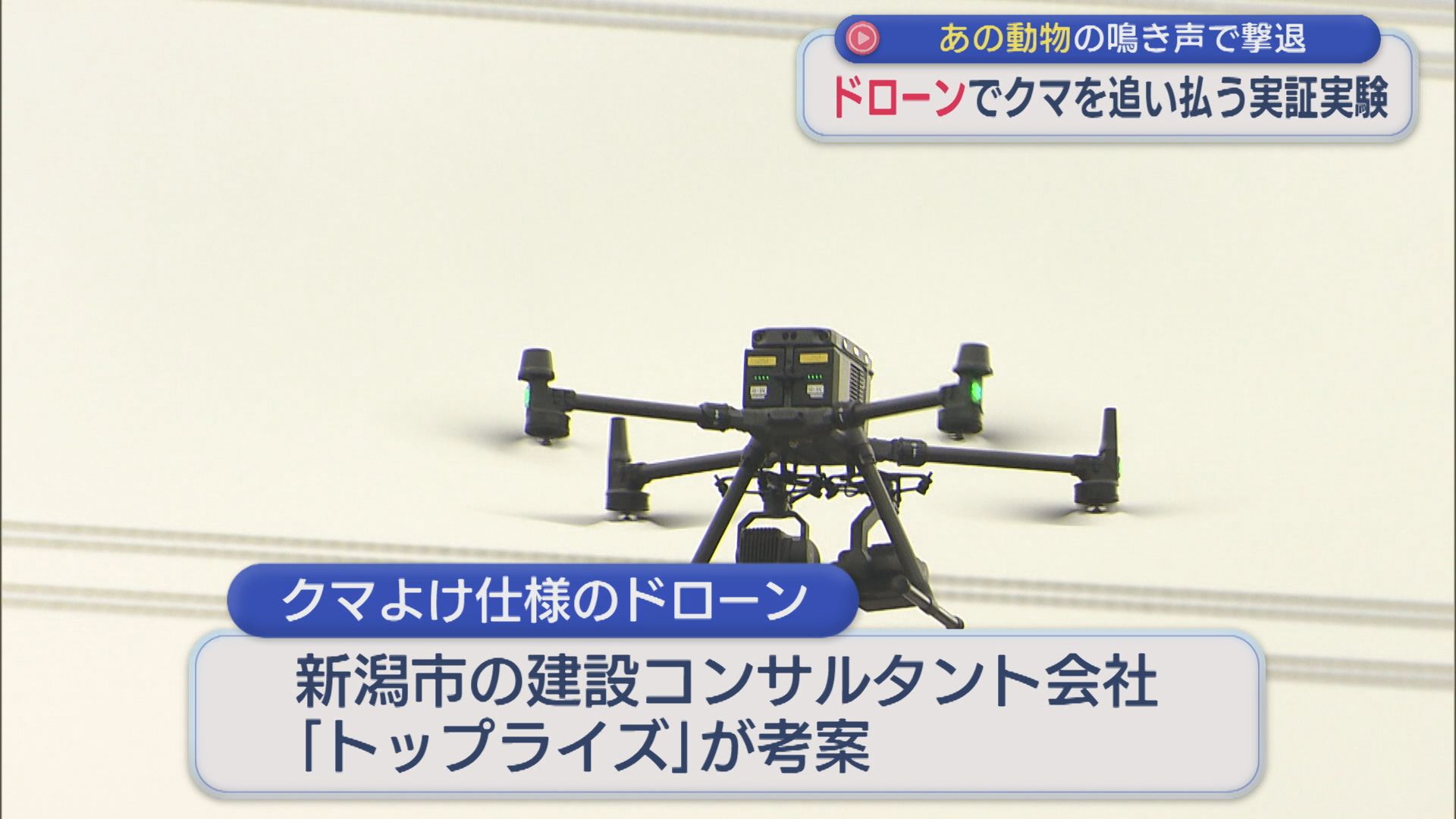 【クマ】「人でが足りない部分を技術で補う」ドローンを使った新たなクマ対策の実証実験【新潟】