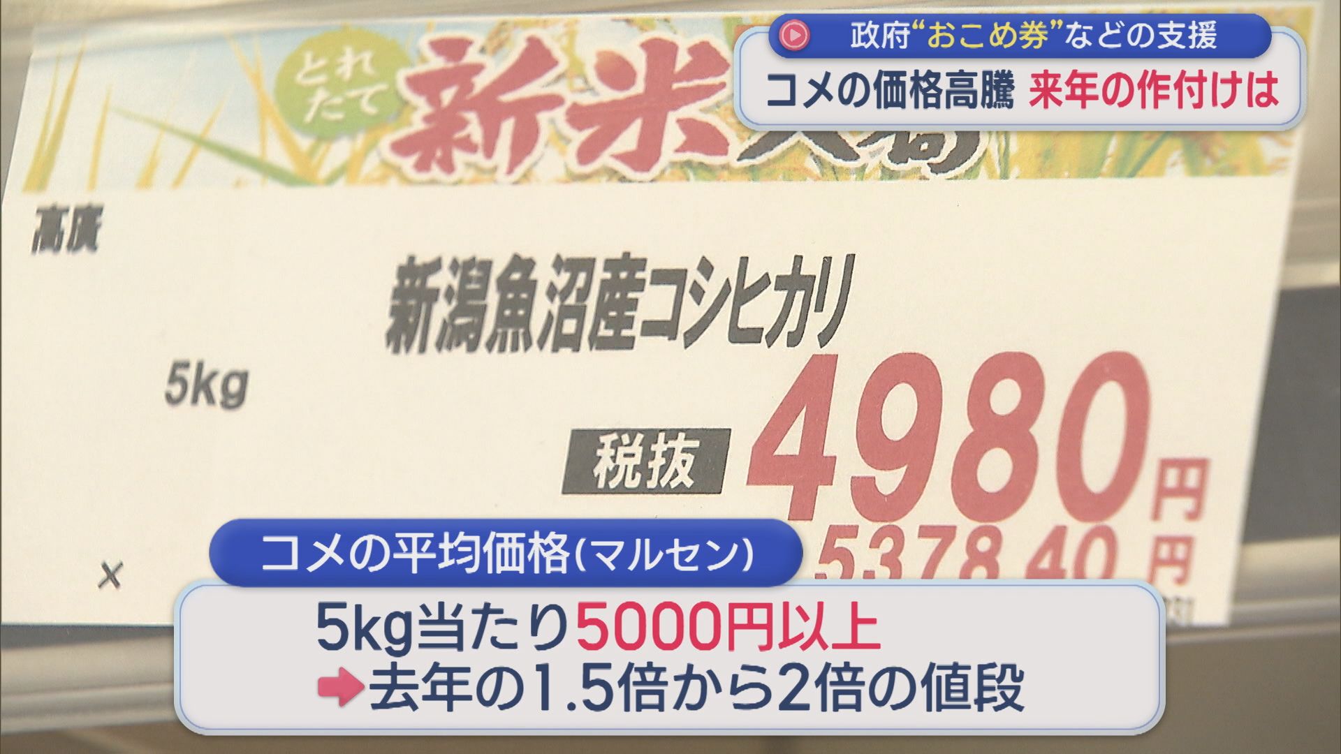 コメの価格高騰続く 政府が「おこめ券」などの支援盛り込む、買い物客の反応は【新潟】