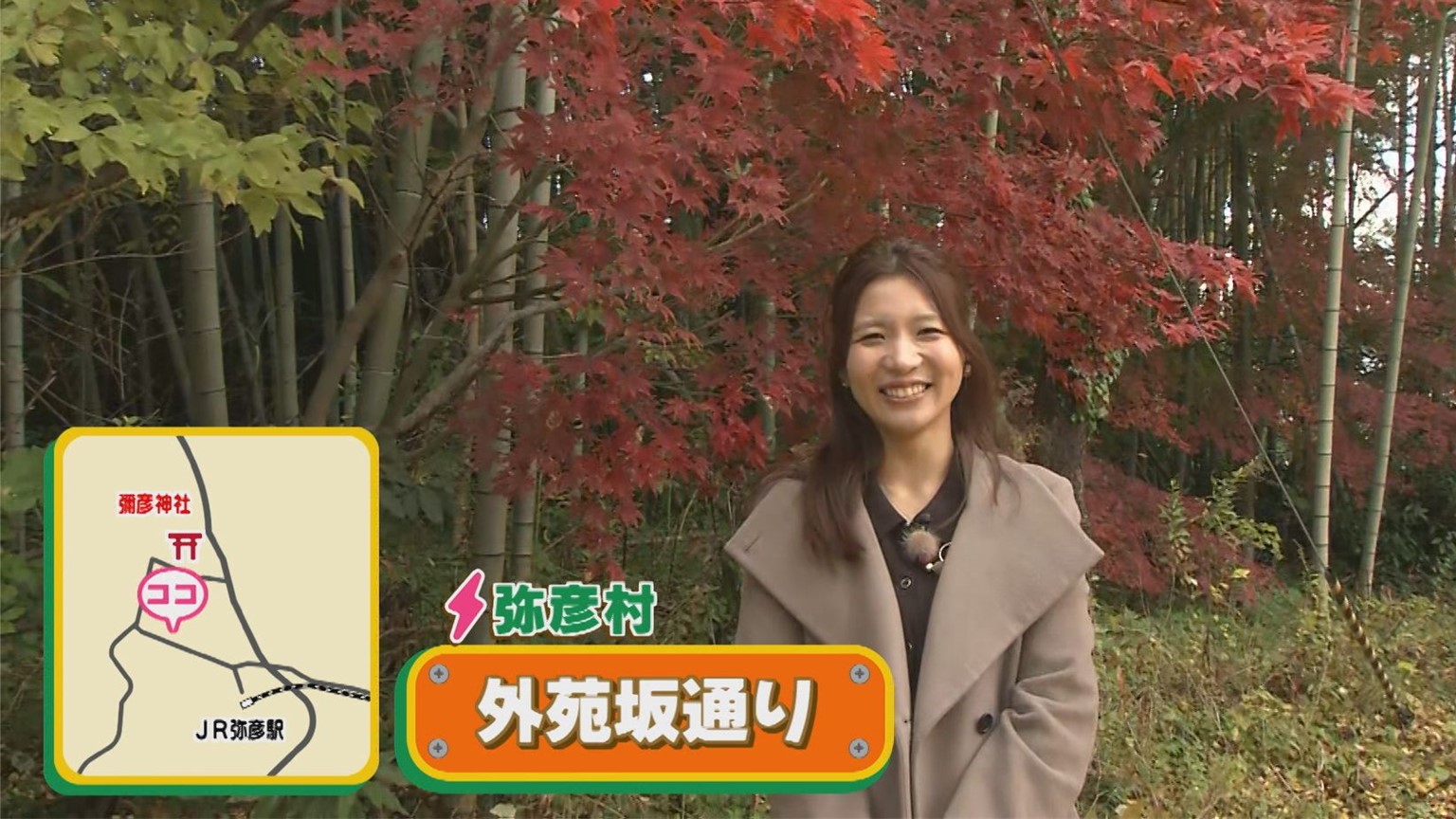 【新潟おでかけ情報】紅葉の名所「もみじ谷」と･･･もうひとつおすすめ「大迫力の紅葉スポット」も【弥彦村】