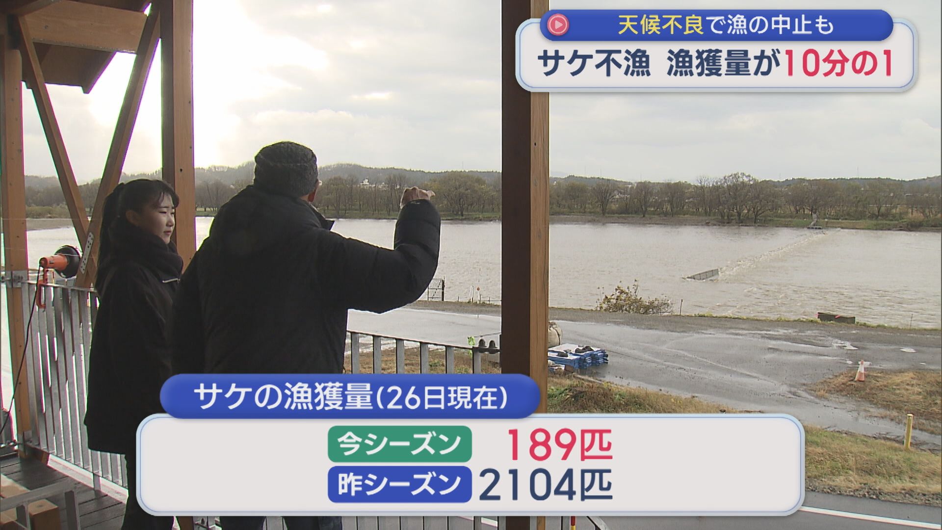 【サケ不漁】漁獲量が10分の1に･･･水温の上昇が関係か【新潟･村上市】