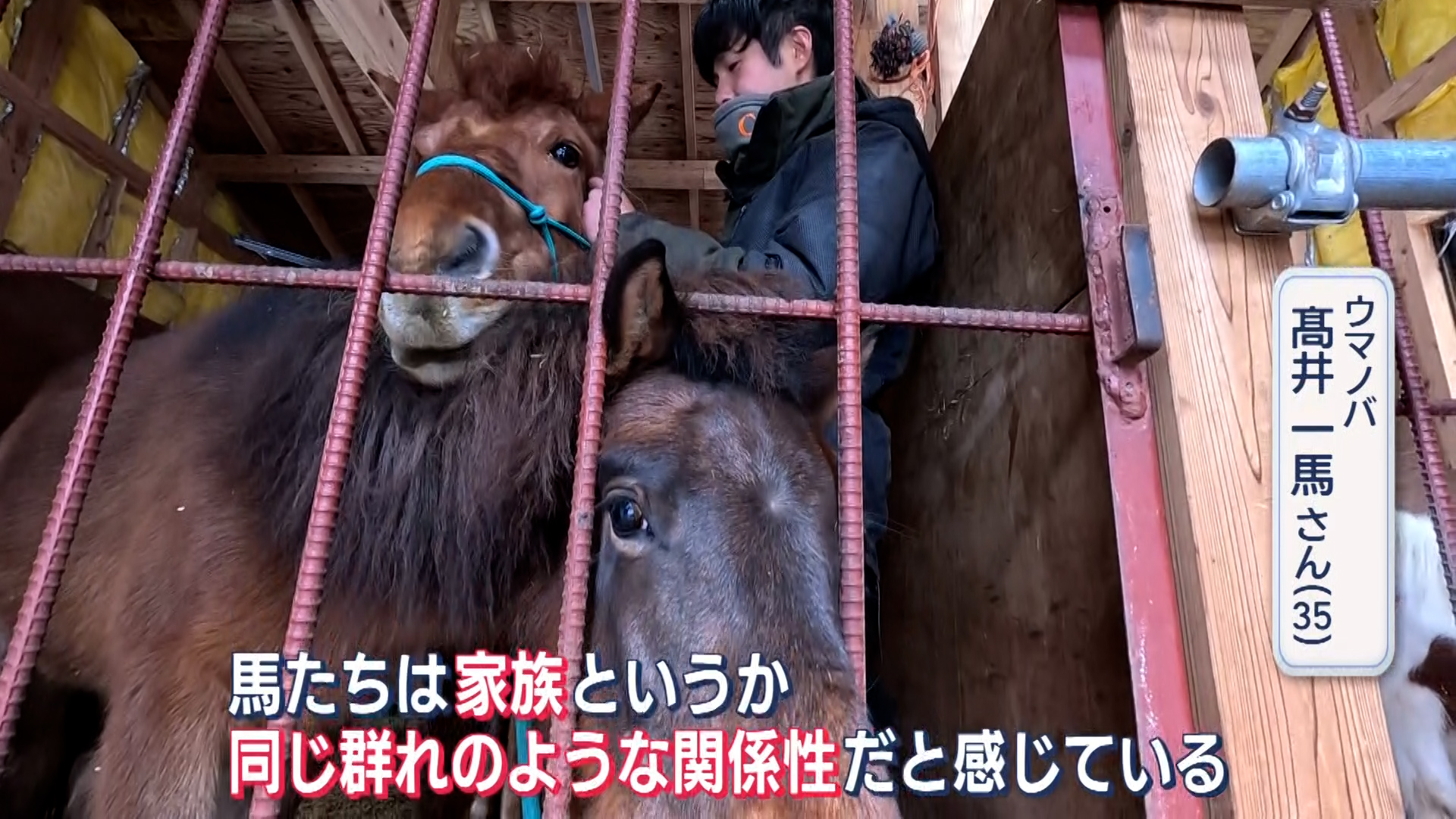 【特集】相棒は「馬」！雪国を盛り上げようと奮闘する 馬を愛する午年の男性が魅力発信【新潟･湯沢町】