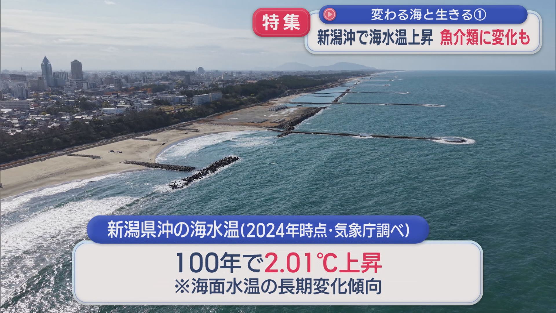 【特集｜変わる海と生きる①】新潟沖で海水温上昇･･･魚介類の変化に漁師は【新潟】