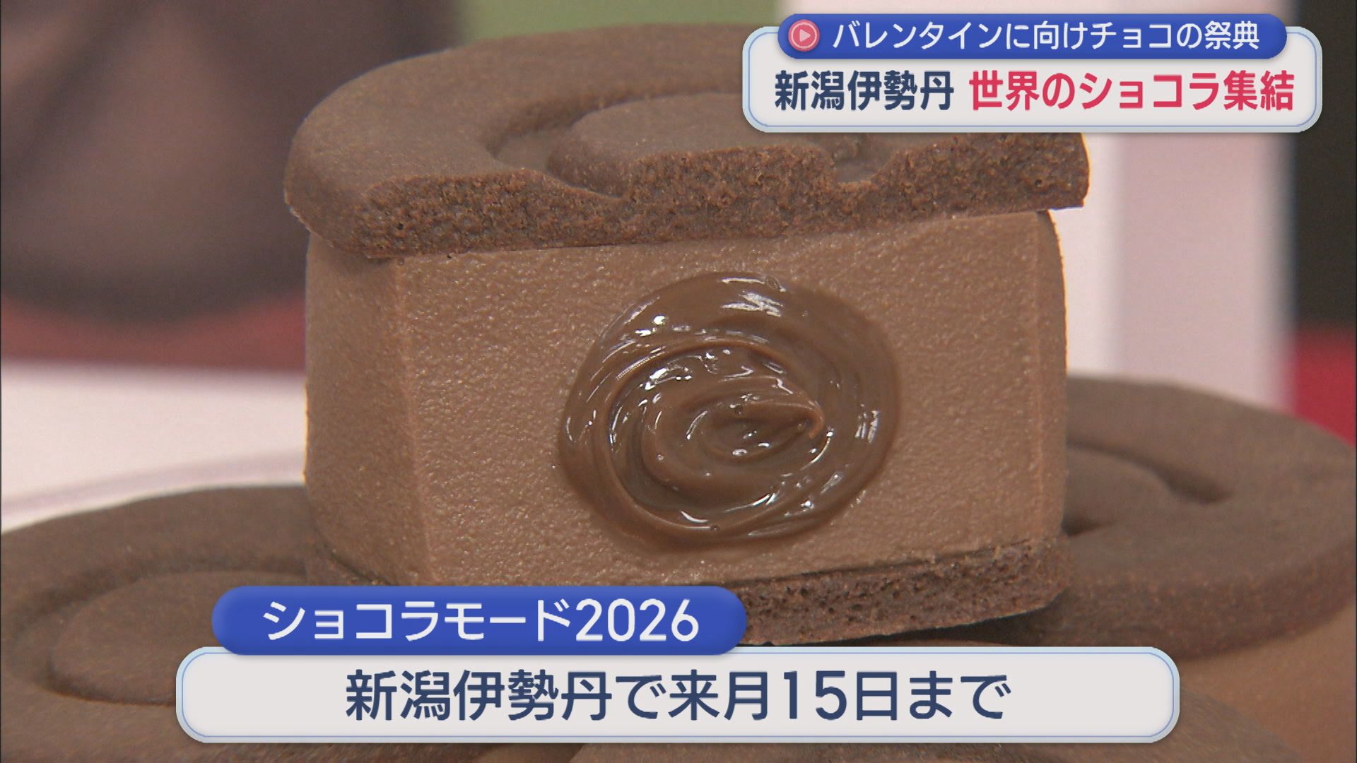 世界のショコラが集結 県内初出店の店舗も！バレンタインに向けチョコの祭典【新潟】
