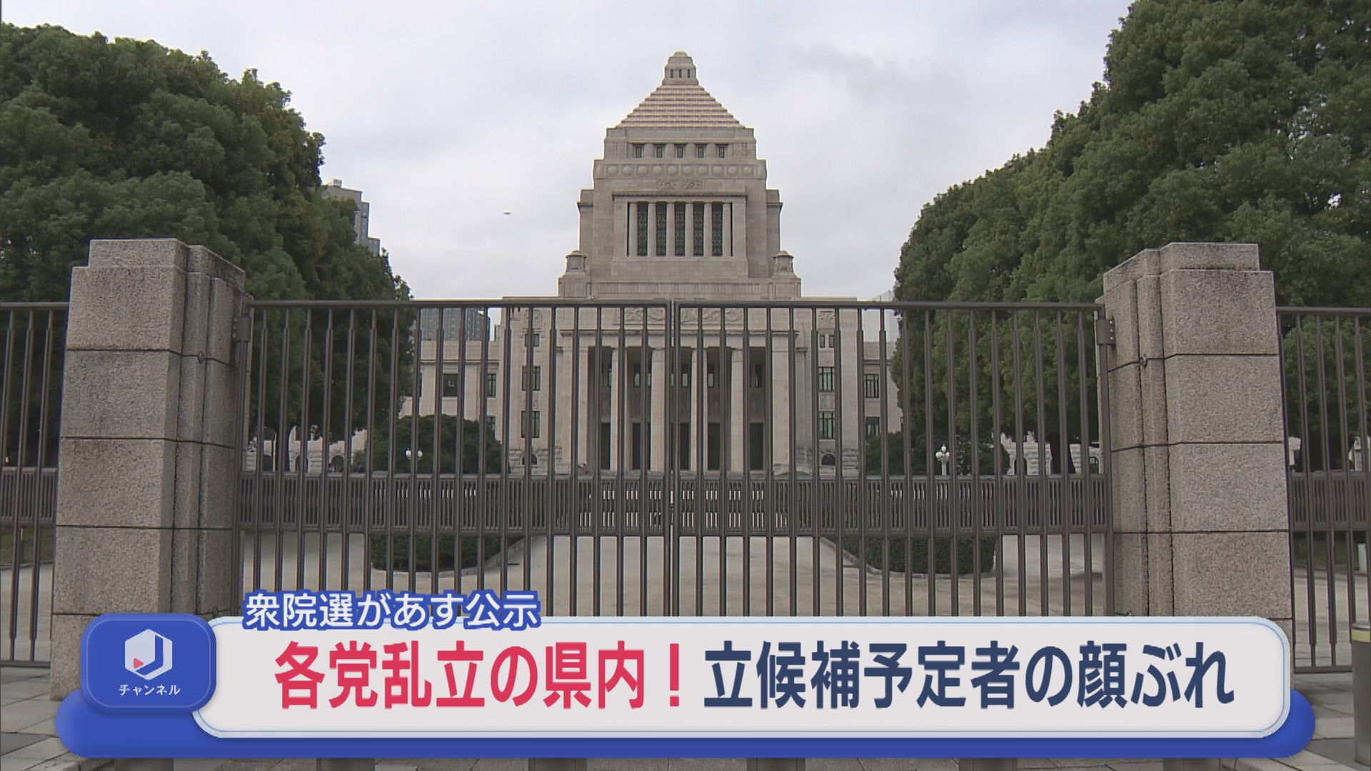 【衆院選｜新潟1区】過去最多5人が出馬予定、各党乱立の県内！他選挙区の顔ぶれも紹介【新潟】
