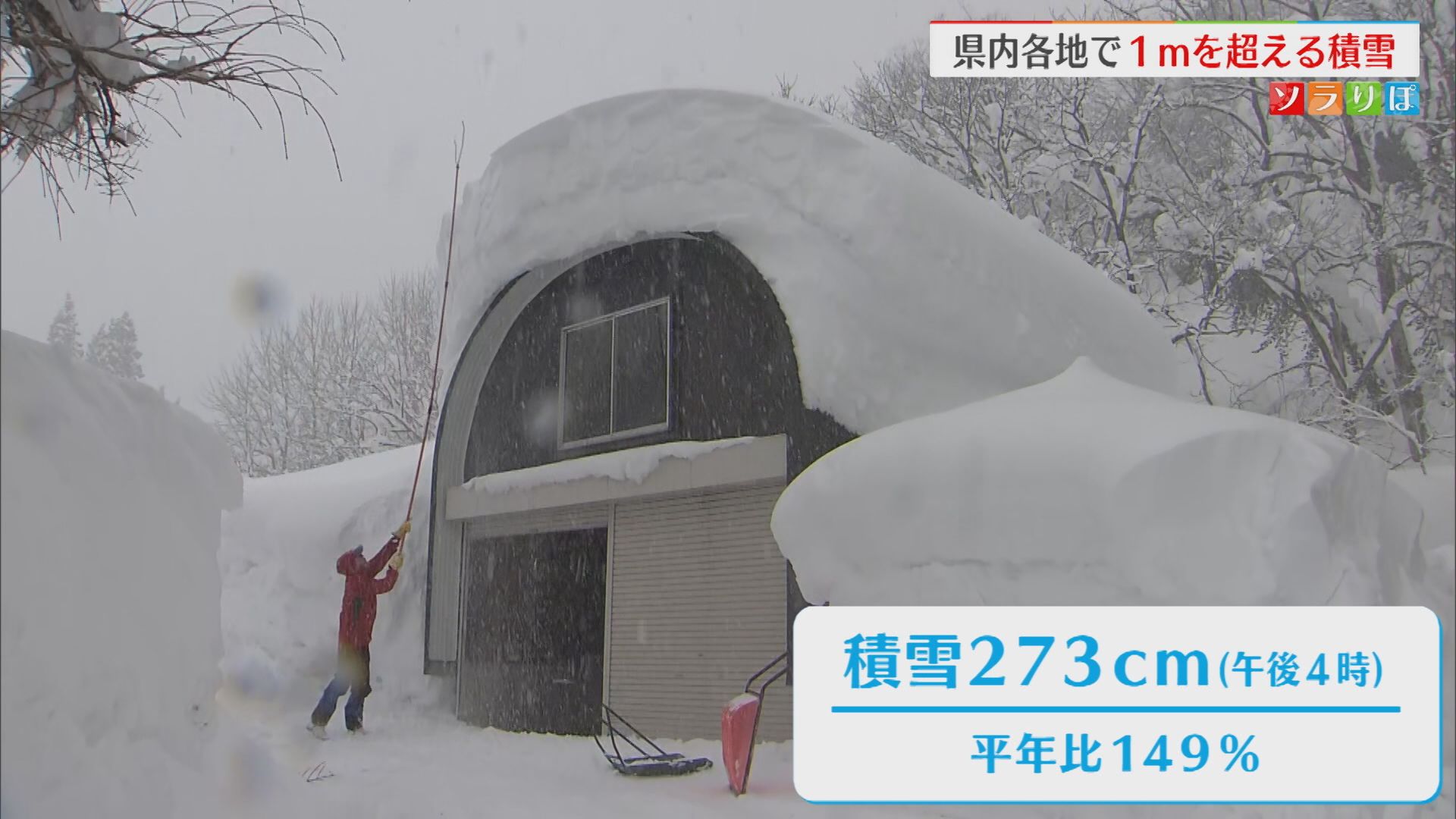 魚沼市守門273cm 平年と比べ約1.5倍の積雪に「あんまり続いて大変」雪かきに追われる住民【新潟･上越市】