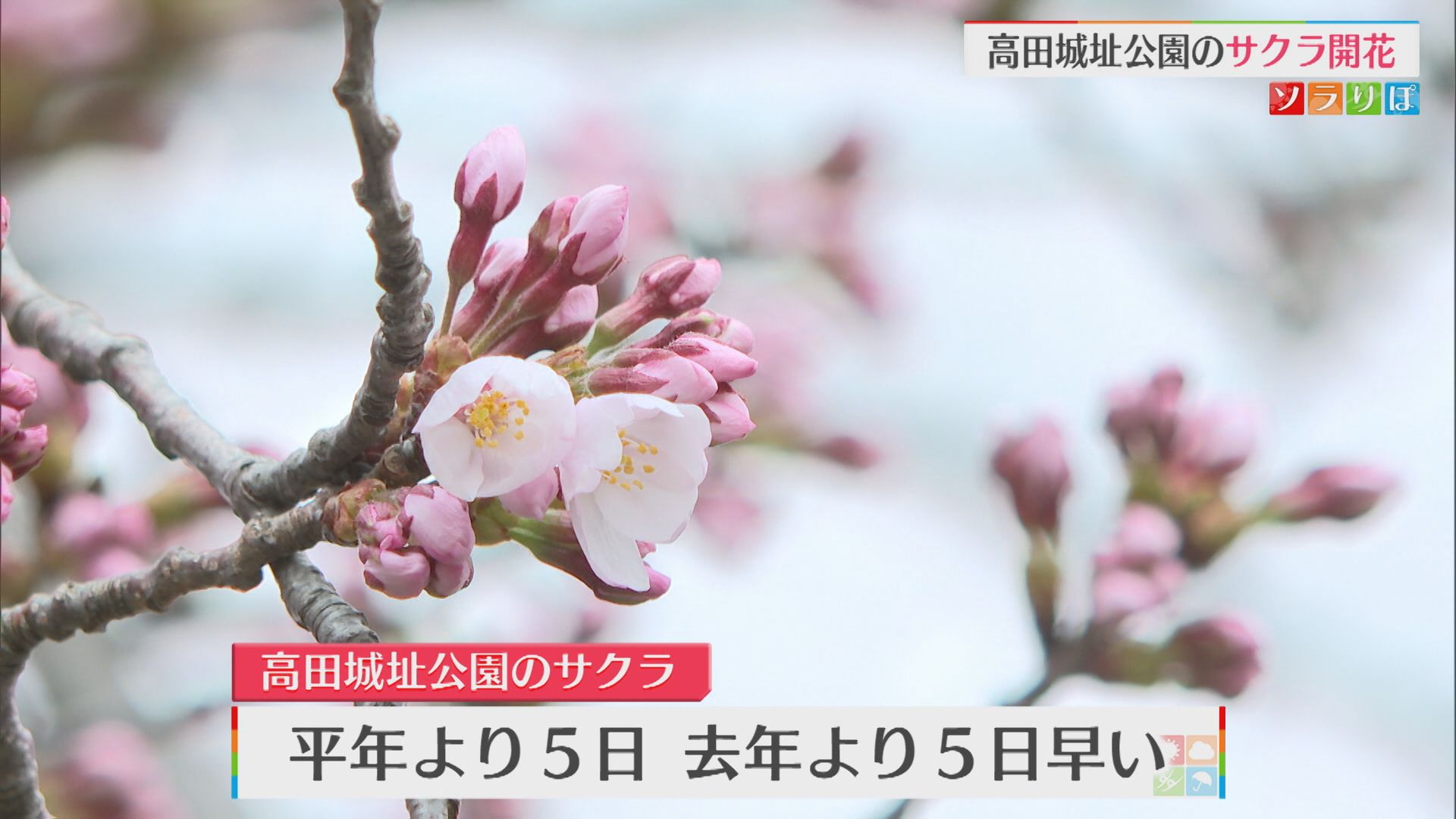 UXニューステスト：URL形式変更11 2026年05月14日(木)