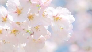 UXニューステスト：URL形式変更14 2026年05月14日(木)